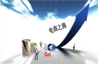 電子商務(wù)專業(yè)畢業(yè)生職業(yè)選擇 聚焦商務(wù)服務(wù)領(lǐng)域