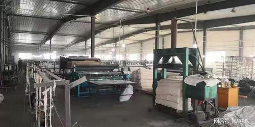 石河子市大型工廠二次流拍 1752.8萬(wàn)元仍無(wú)人問(wèn)津